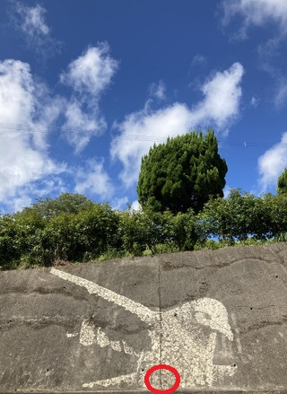 9d834cf5b84a40f4b6aaf15ba4a85bf1_2