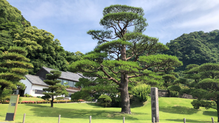 48e54176849a479293521b1658692e5d