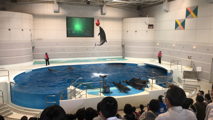 B667d327de1e4611a094a270647abe34