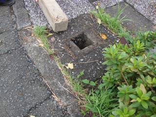 Dsc00307