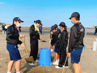 Image6