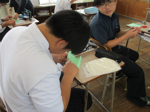 Img_1485 Img_1485