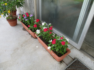 Img_1508 Img_1508
