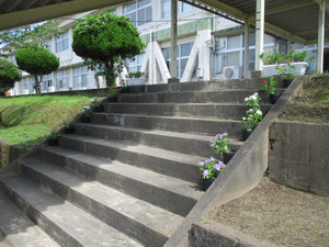 Img_1510 Img_1510