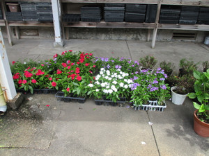 Img_1526_2 Img_1526_2