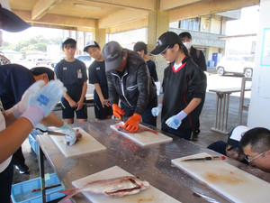 Img_0150 Img_0150