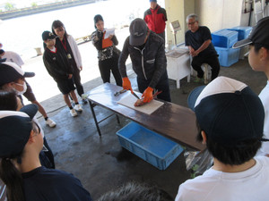 Img_0939 Img_0939