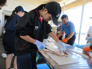 Img_0964 Img_0964