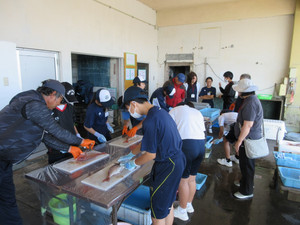 Img_0972 Img_0972