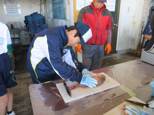 Img_0977 Img_0977