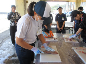 Img_0982 Img_0982
