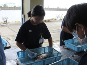 Img_1013 Img_1013