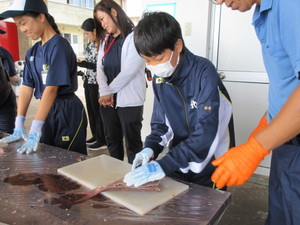 Img_1041 Img_1041