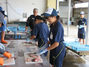 Img_1045 Img_1045