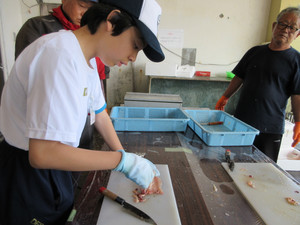 Img_1073 Img_1073