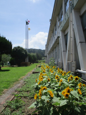 Img_1554 Img_1554