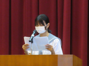 Img_1291 Img_1291