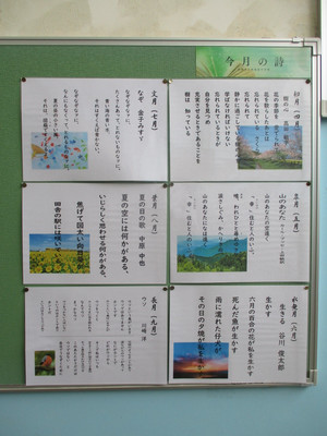 Img_1590 Img_1590