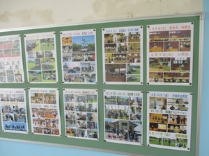 Img_1592 Img_1592