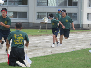 Img_0791 Img_0791