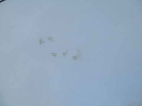 Img_1632 Img_1632