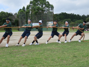 Img_0982 Img_0982
