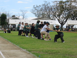 Img_0987 Img_0987