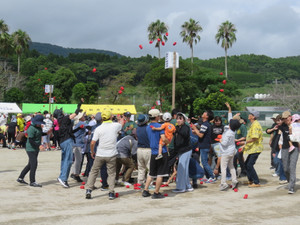 Img_1001 Img_1001